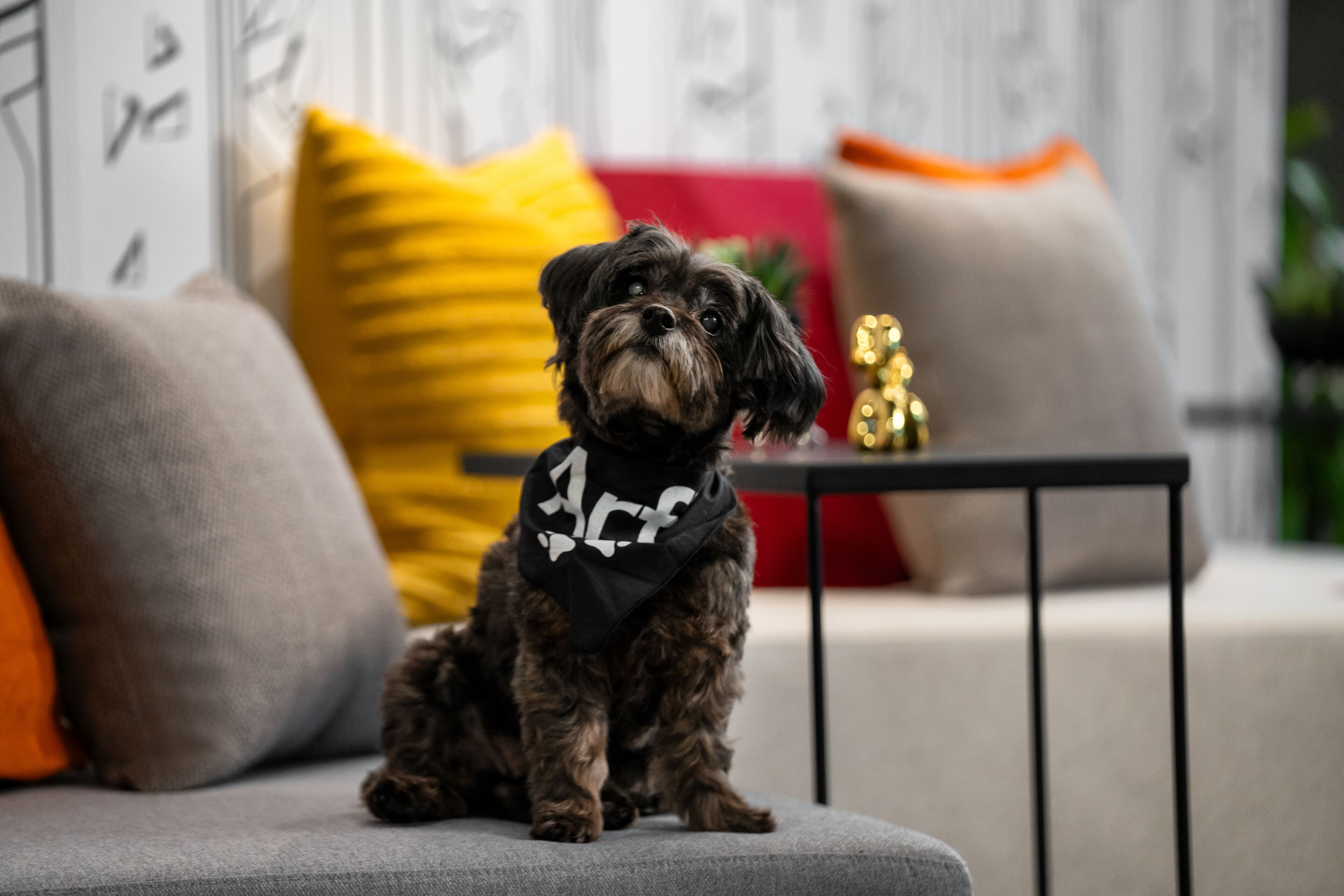 Foto - Aloft New York Chelsea