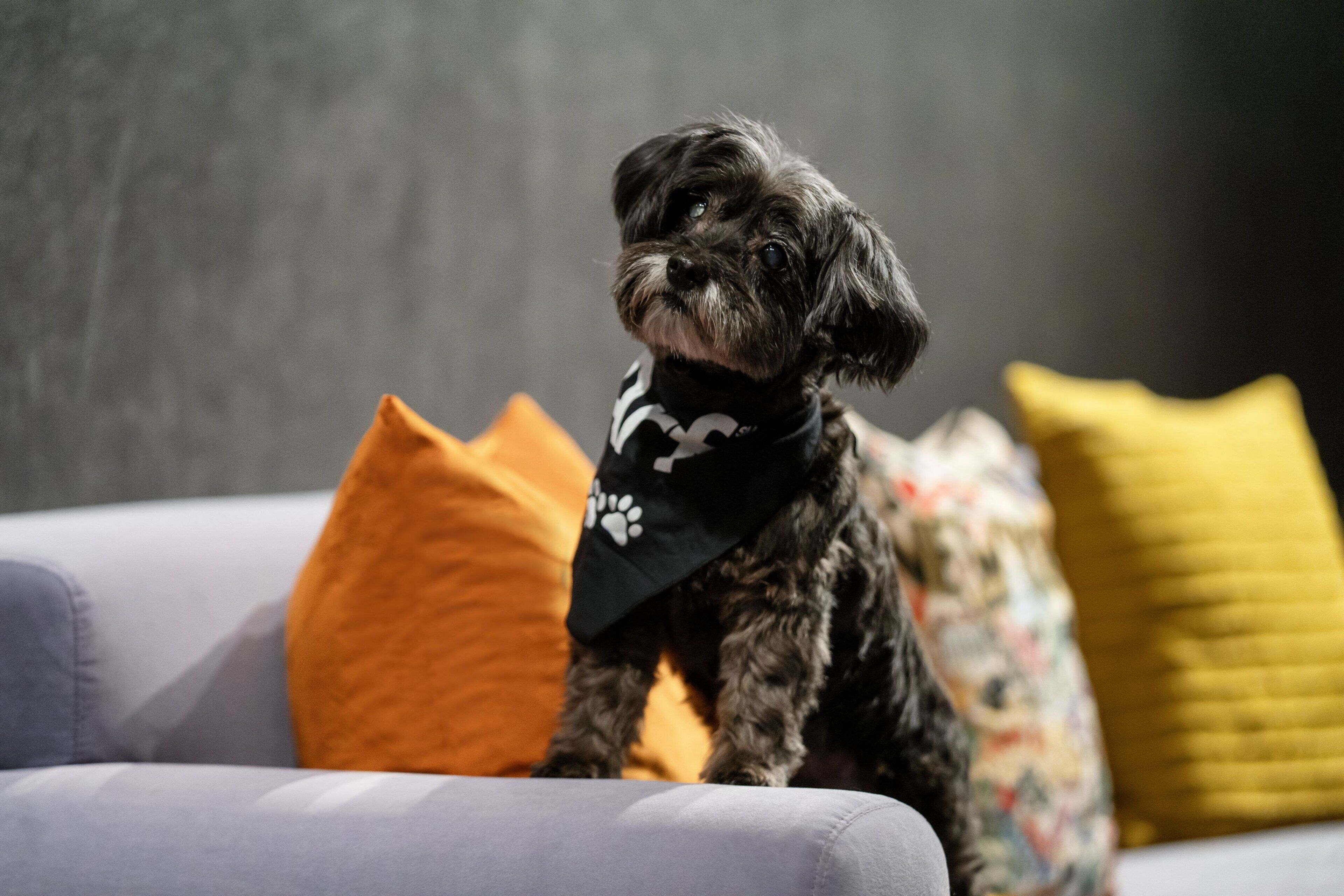 Foto - Aloft New York Chelsea