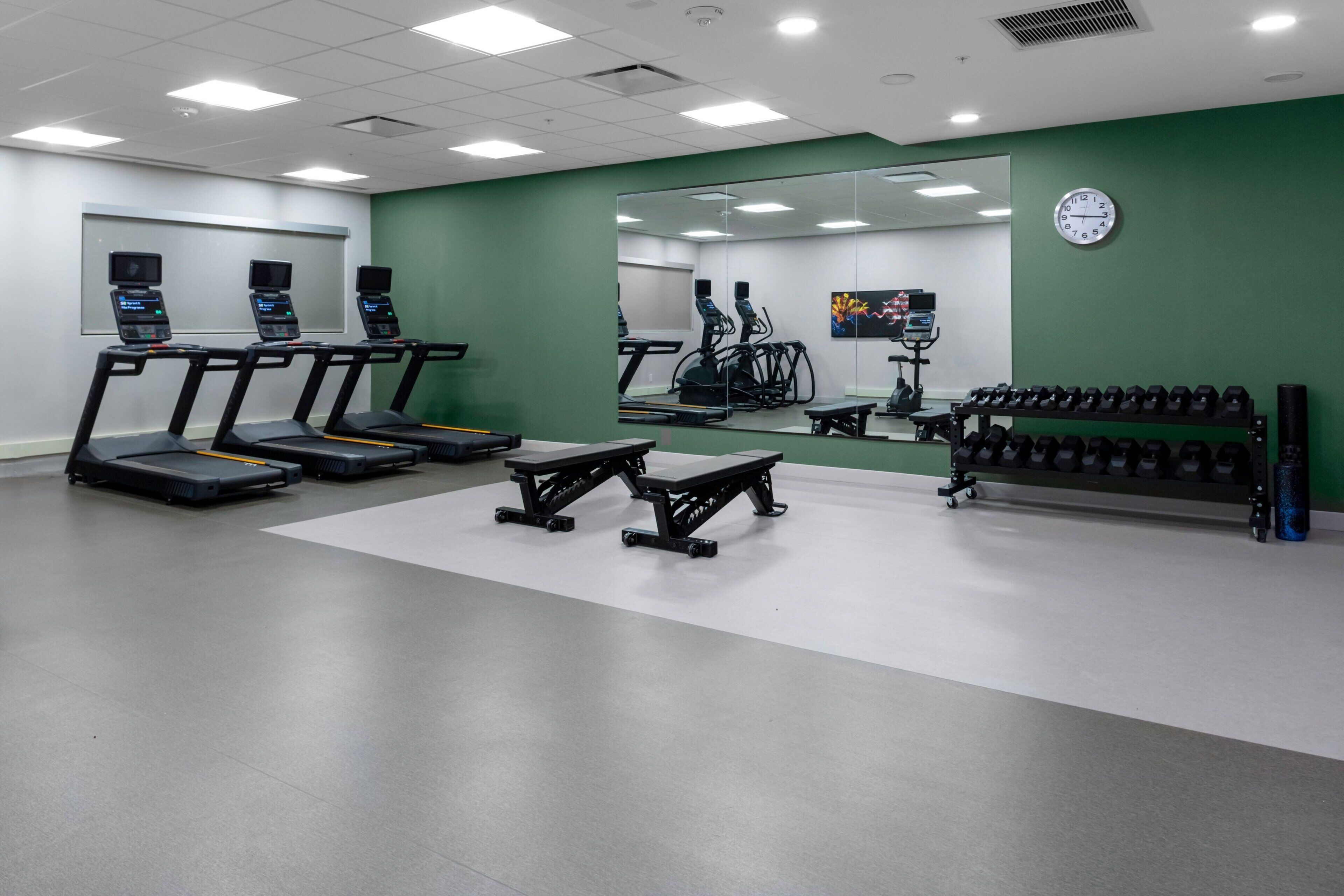 A gym with treadmills, elliptical machines, and weight benches.