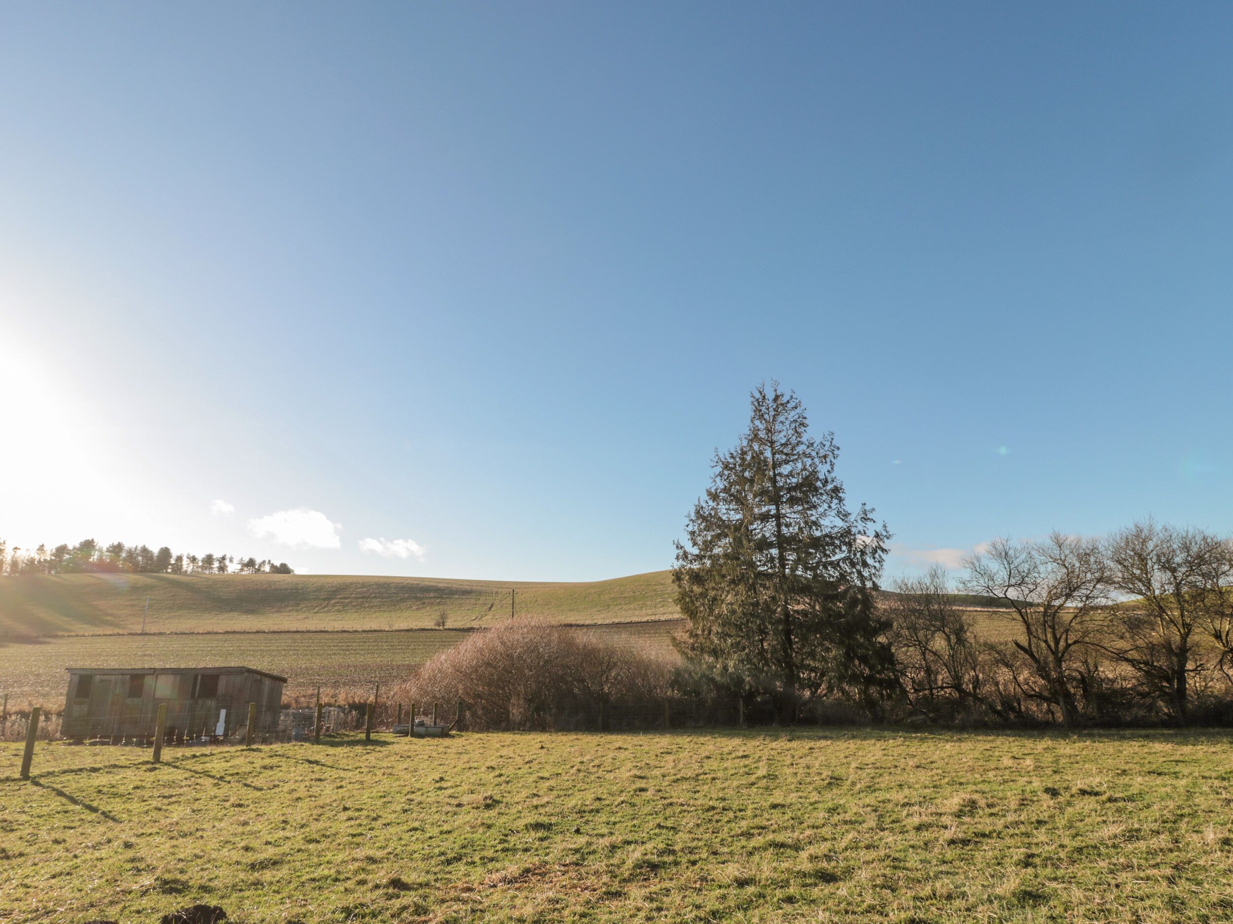 A rural landscape with a small wooden structure, possibly a shed, in a field with a large tree and rolling hills in the background.