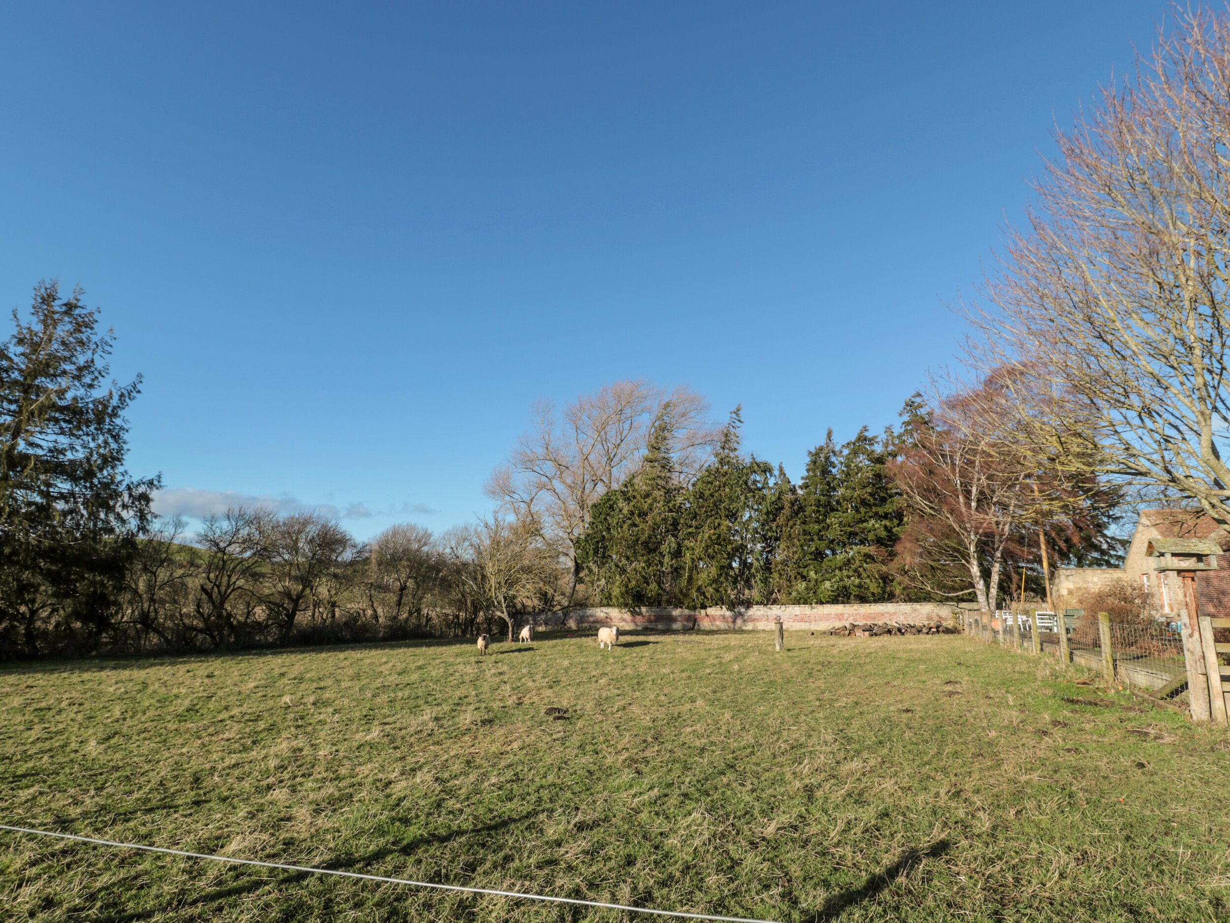 Un campo cubierto de hierba con árboles y un edificio al fondo.