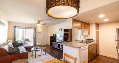 ASU Tempe Modern Condo