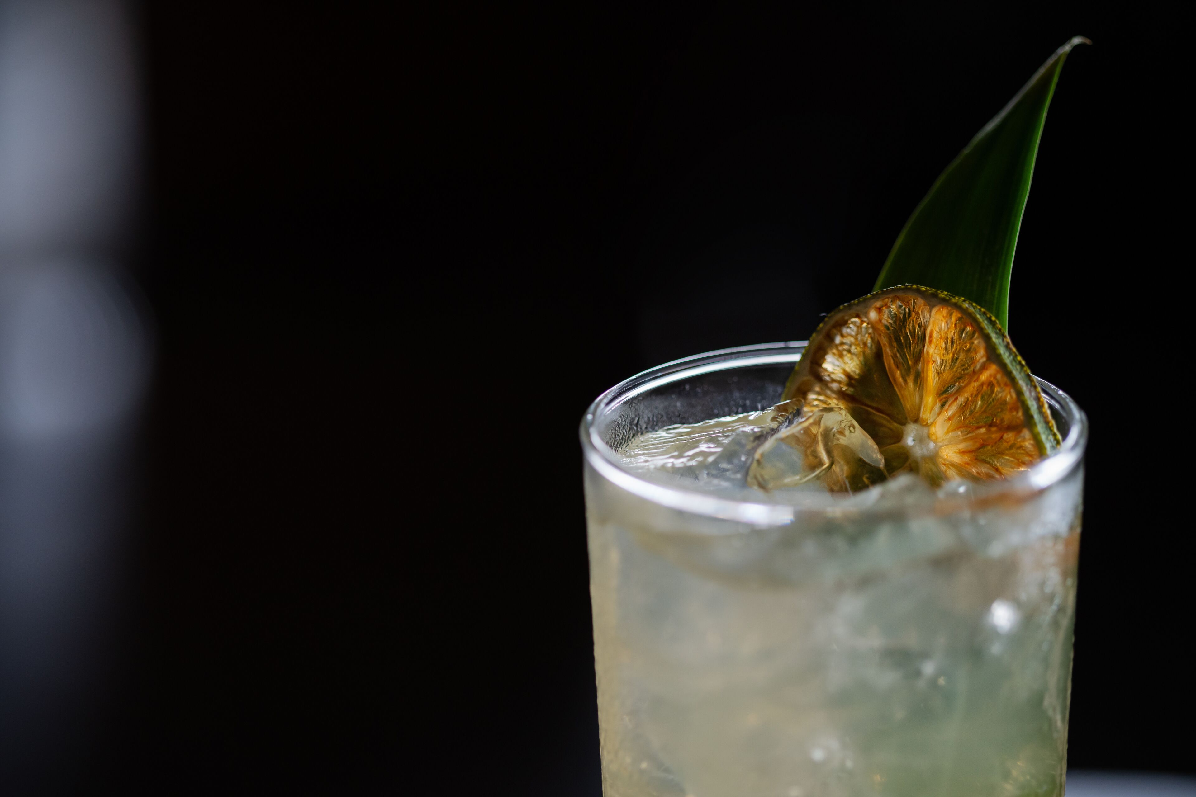 A glass with a clear liquid, ice cubes, and a dried flower garnish.