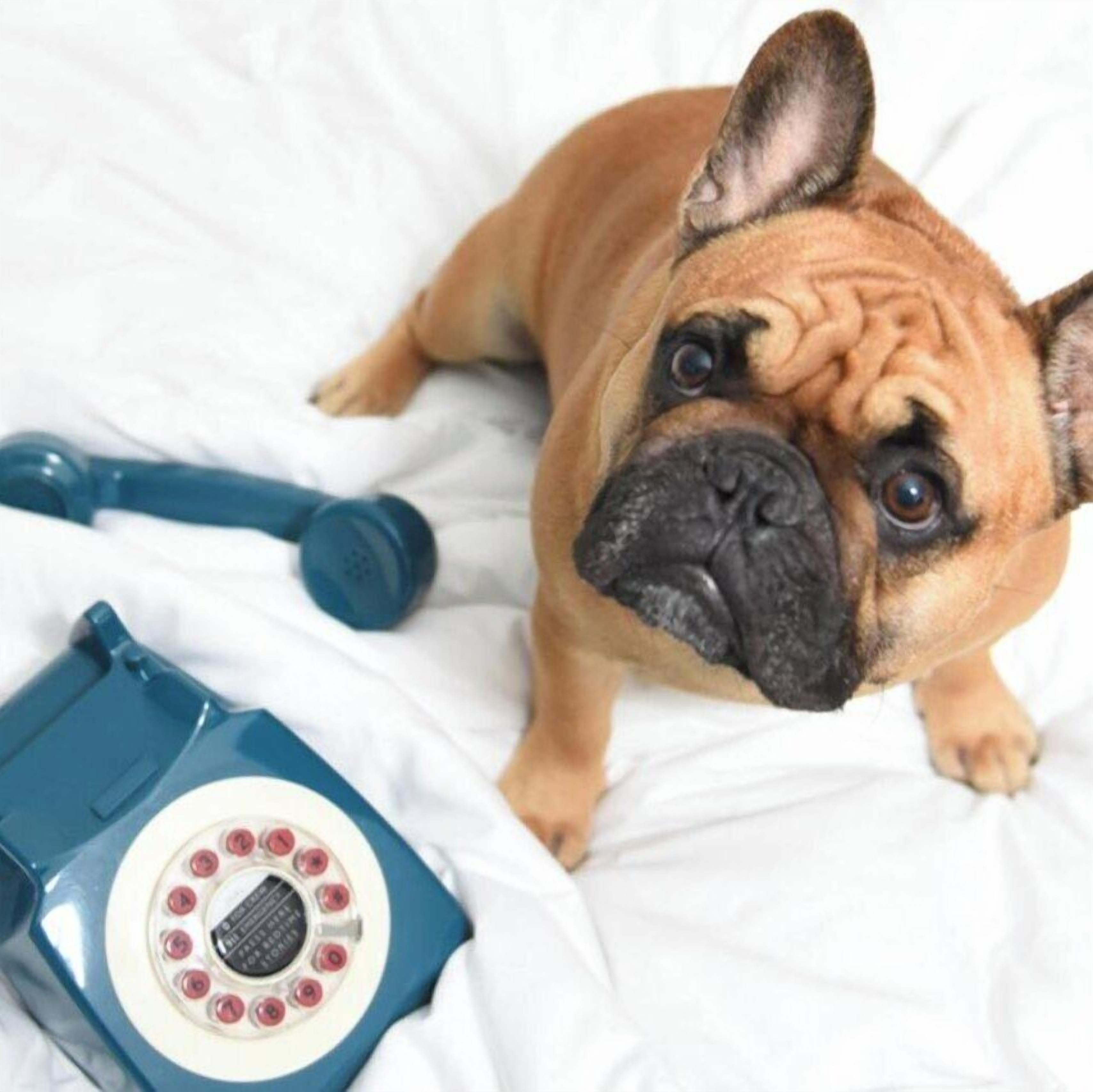 Foto - Moxy Houston Downtown