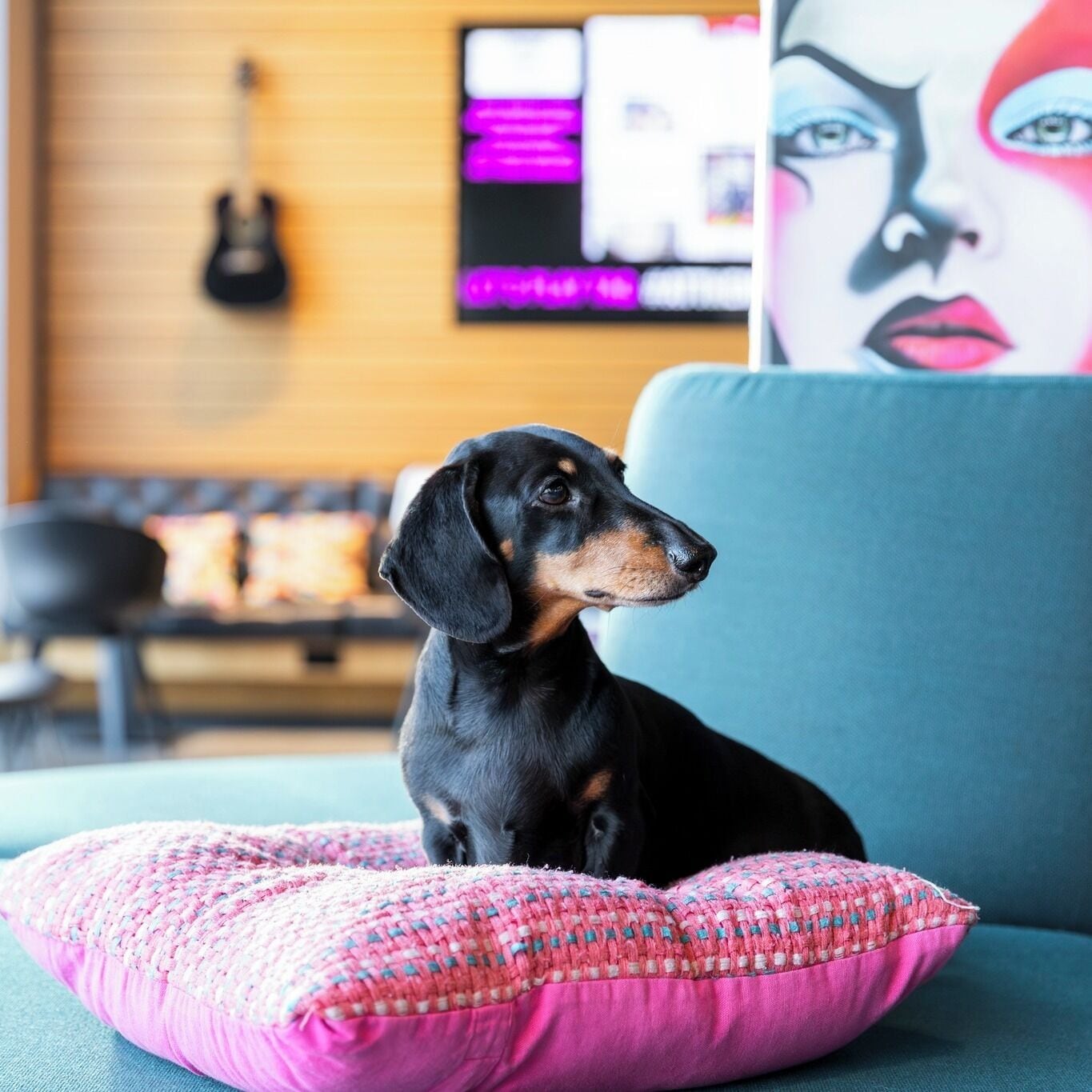 Foto - Moxy Houston Downtown