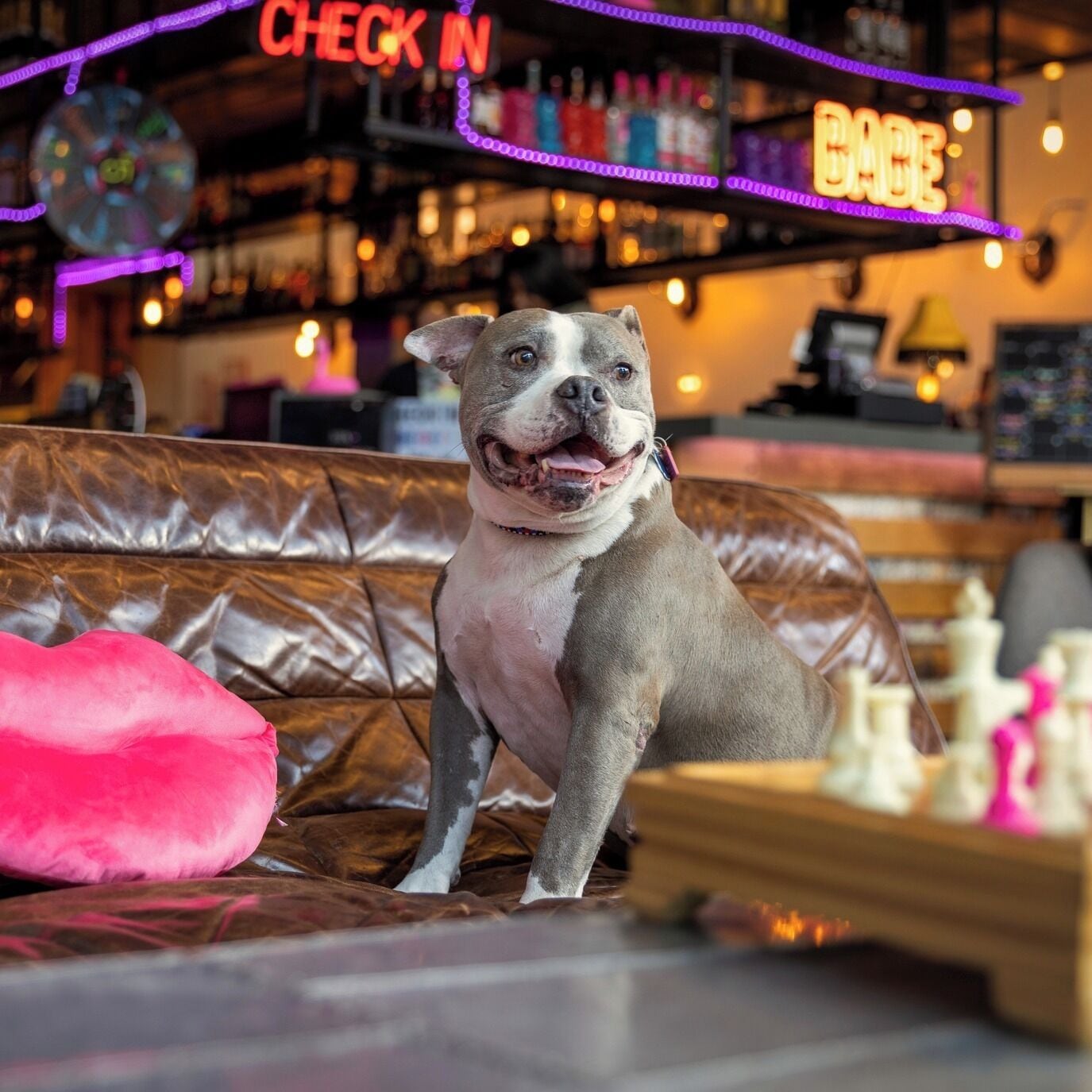 Foto - Moxy Houston Downtown