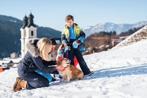 A snowy outdoor scene with a person and a dog. - Das Hopfgarten Aparthotel (Hopfgarten im Brixental)