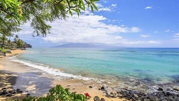 Condo, 1 Bedroom | Beach