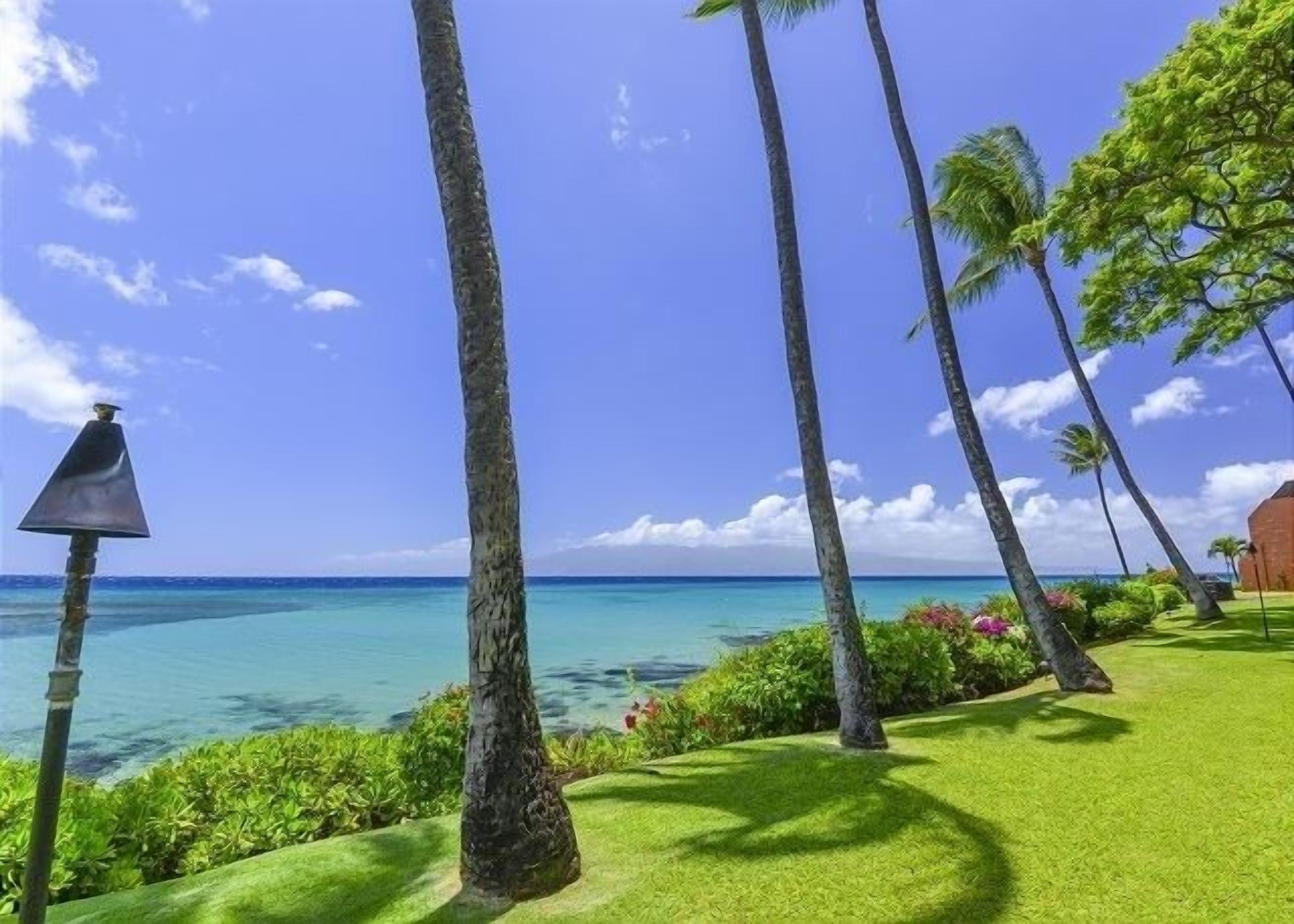 Condo, 1 Bedroom | Property grounds