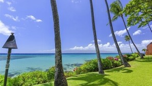 A tropical resort with a clear view of the ocean, palm trees, and a well-maintained lawn. - Kuleana 405 Oceanfront 1Bedroom 1 Condo by RedAwning (Lahaina)