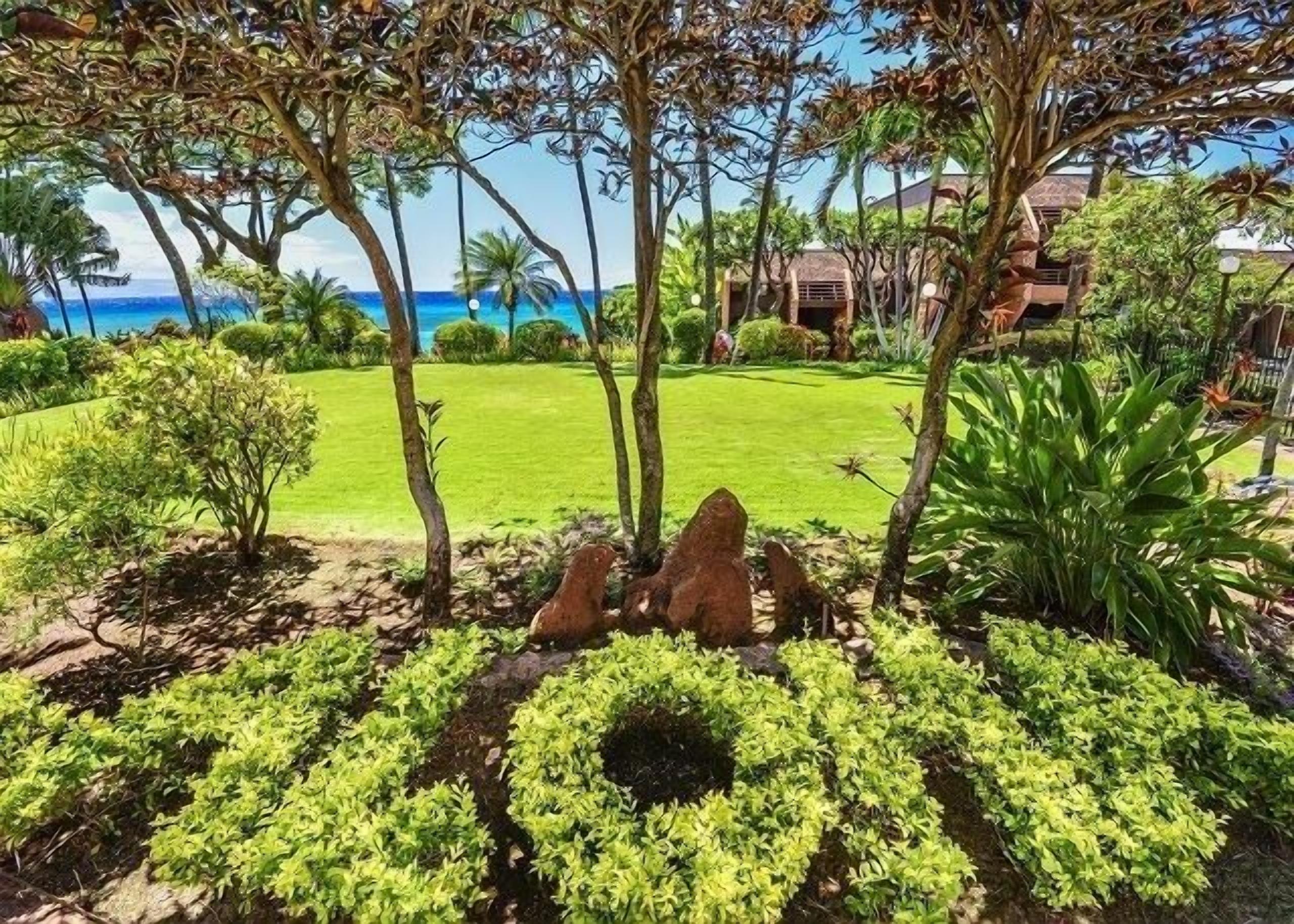 Condo, 1 quarto | Área da propriedade