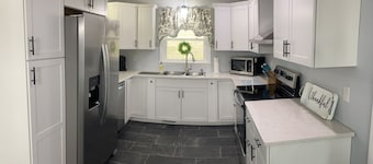 Newly renovated home! One block from Back of the Dragon-Close to downtown Marion