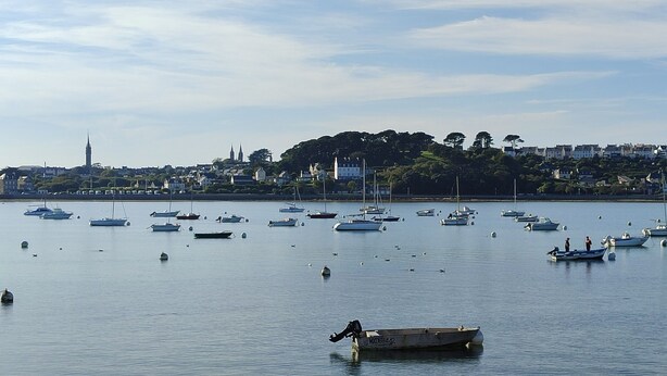A harbor with numerous boats and a distant cityscape with buildings and a tower.