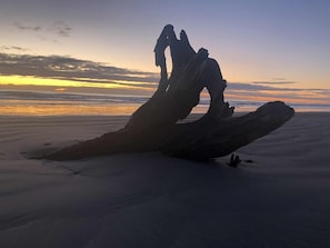 Beach nearby - Time & Tide Holiday Stay (Waitarere Beach)