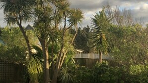Cortile con palme, un cordolo in mattoni e una recinzione in legno.
