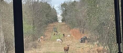 Área da propriedade