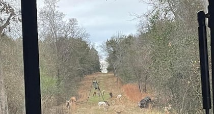 RV Spot on *Exotic Animal Ranch* Campground. BRING YOUR RV