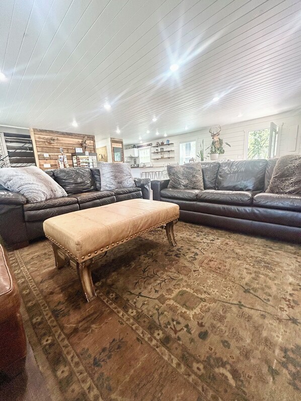 Smart TV, fireplace, video game console, DVD player