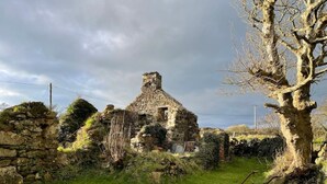 Ruinas de piedra con una chimenea, rodeadas de hierba y árboles.
