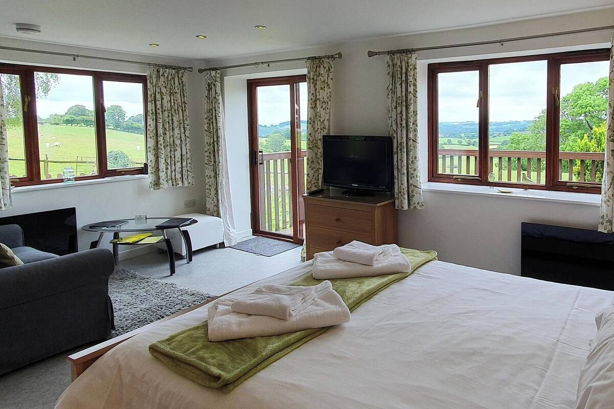 A hotel room with a bed, a sofa, a TV, and a balcony with a view of the countryside.