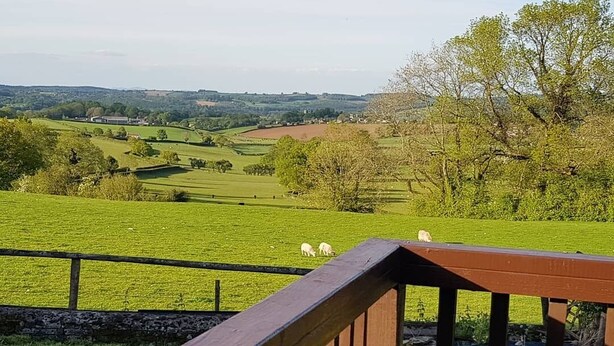 A scenic view from a wooden deck overlooking a green field with sheep grazing, surrounded by rolling hills and trees. - The Rock Self Catering Holiday Accommodation (Coleford)