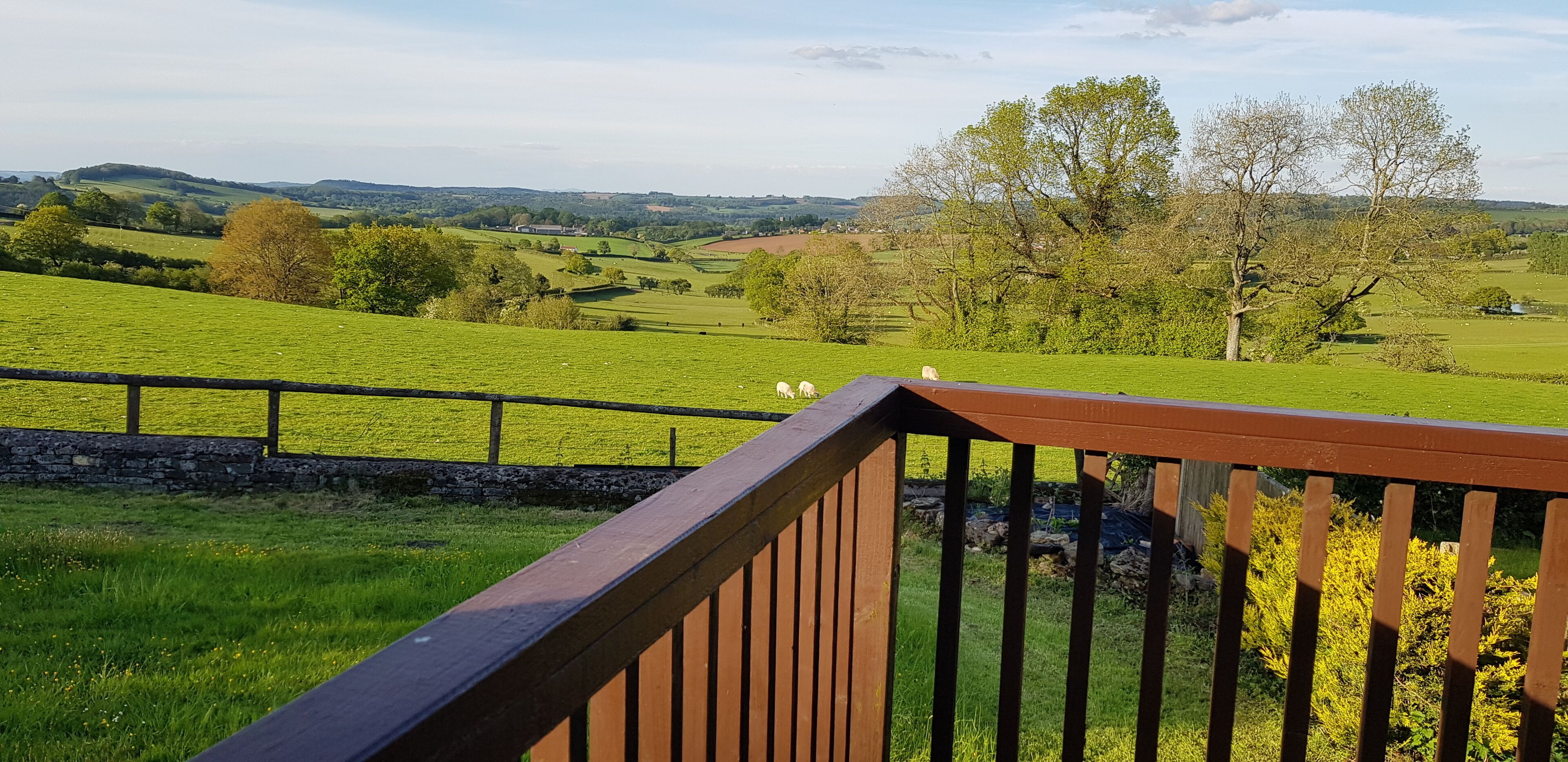 الإطلالة من المنشأة