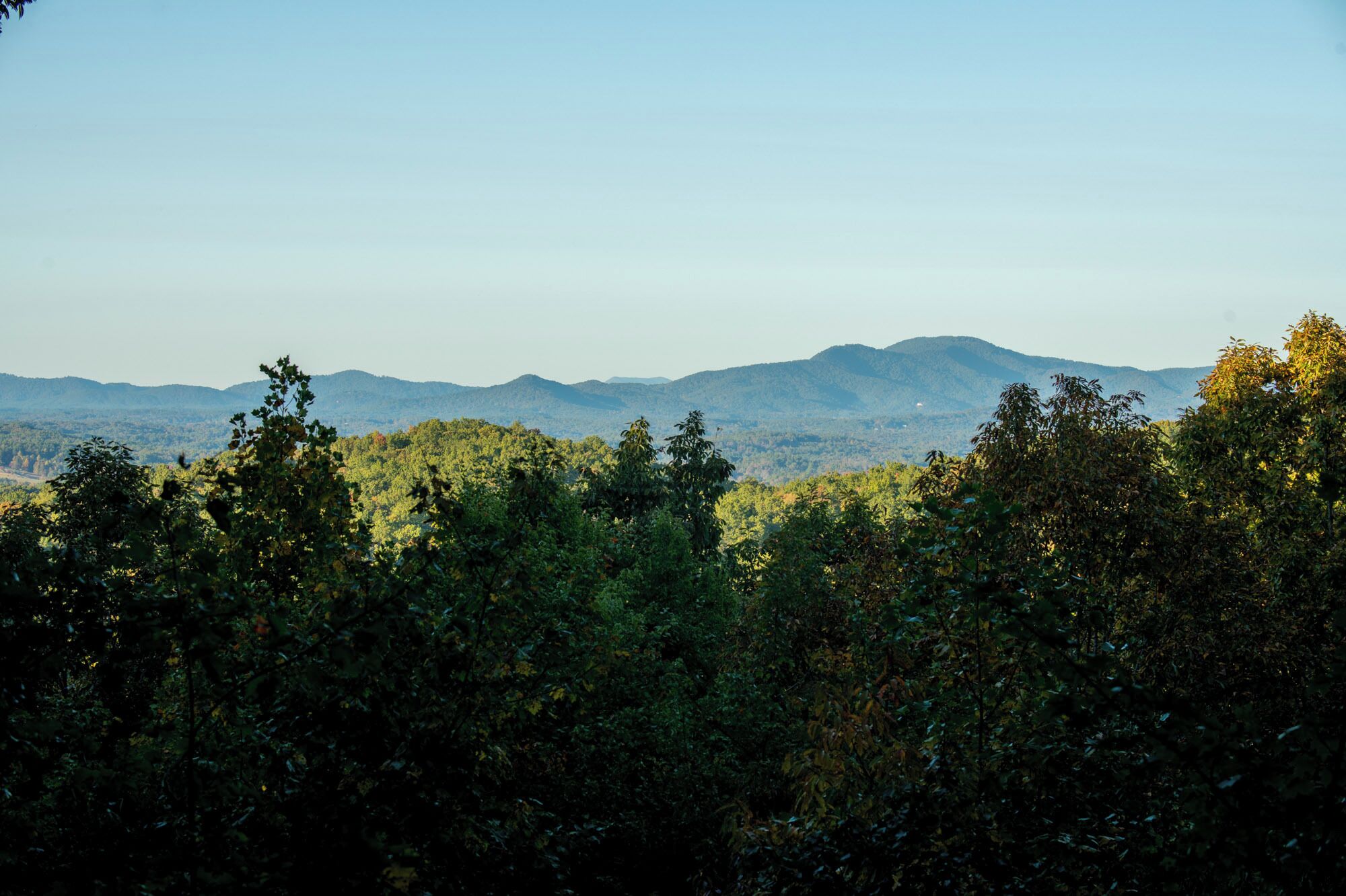A mountainous landscape with dense forest in the foreground and hills in the background.