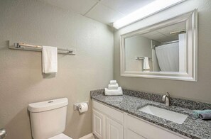 Une salle de bain équipée d’un WC, d’un lavabo, d’un miroir, d’un porte-serviettes et d’un rideau de douche.