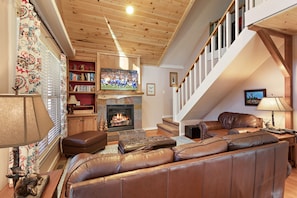 Televisión, chimenea, reproductor de DVD y libros