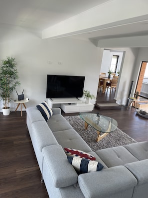 Smart TV, books, computer monitors