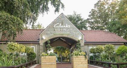 Tree of Life House, Number 27 Bere Lane