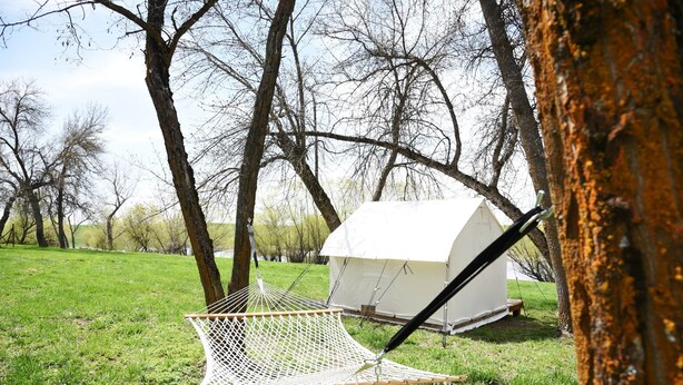 A hammock in a grassy area with a white tent in the background. - Tent Platform 4 | Pond View Glamping Tent (Latah County)