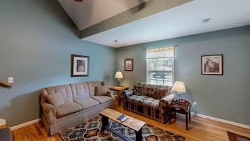 TV, fireplace, DVD player, offices