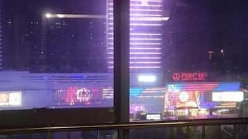 Vista des de l'allotjament