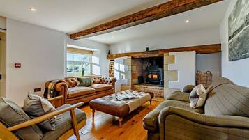 Télévision, cheminée