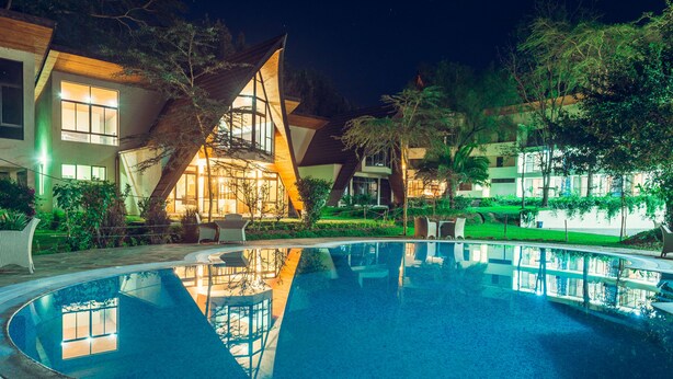 Una piscina con diseño arquitectónico moderno, rodeada de exuberante vegetación y edificios bien iluminados.