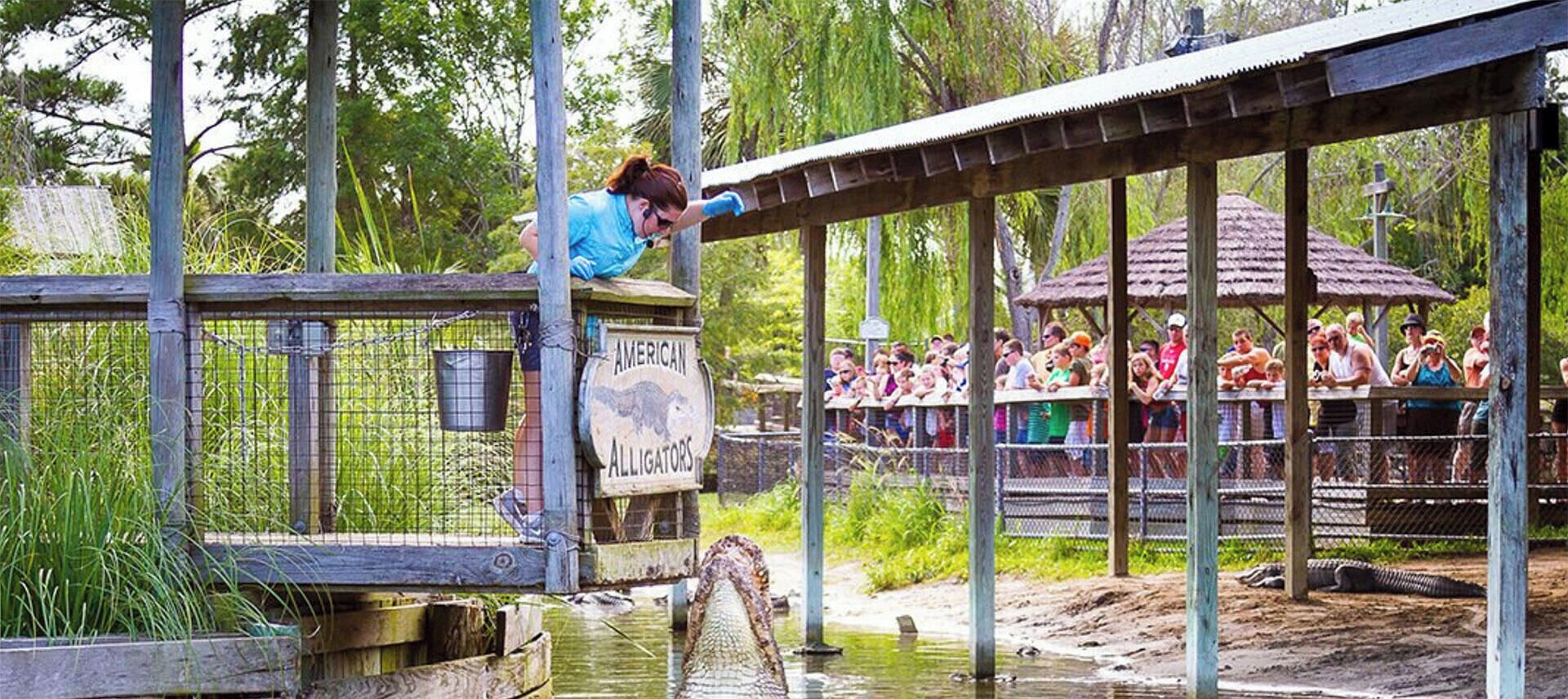 Ein Gehege für Alligatoren mit einer Holzbrücke und einem Schild, auf dem steht: "Amerikanische Alligatoren, 6,1 Meilen entfernt".
