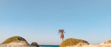 Sun-loungers, beach towels