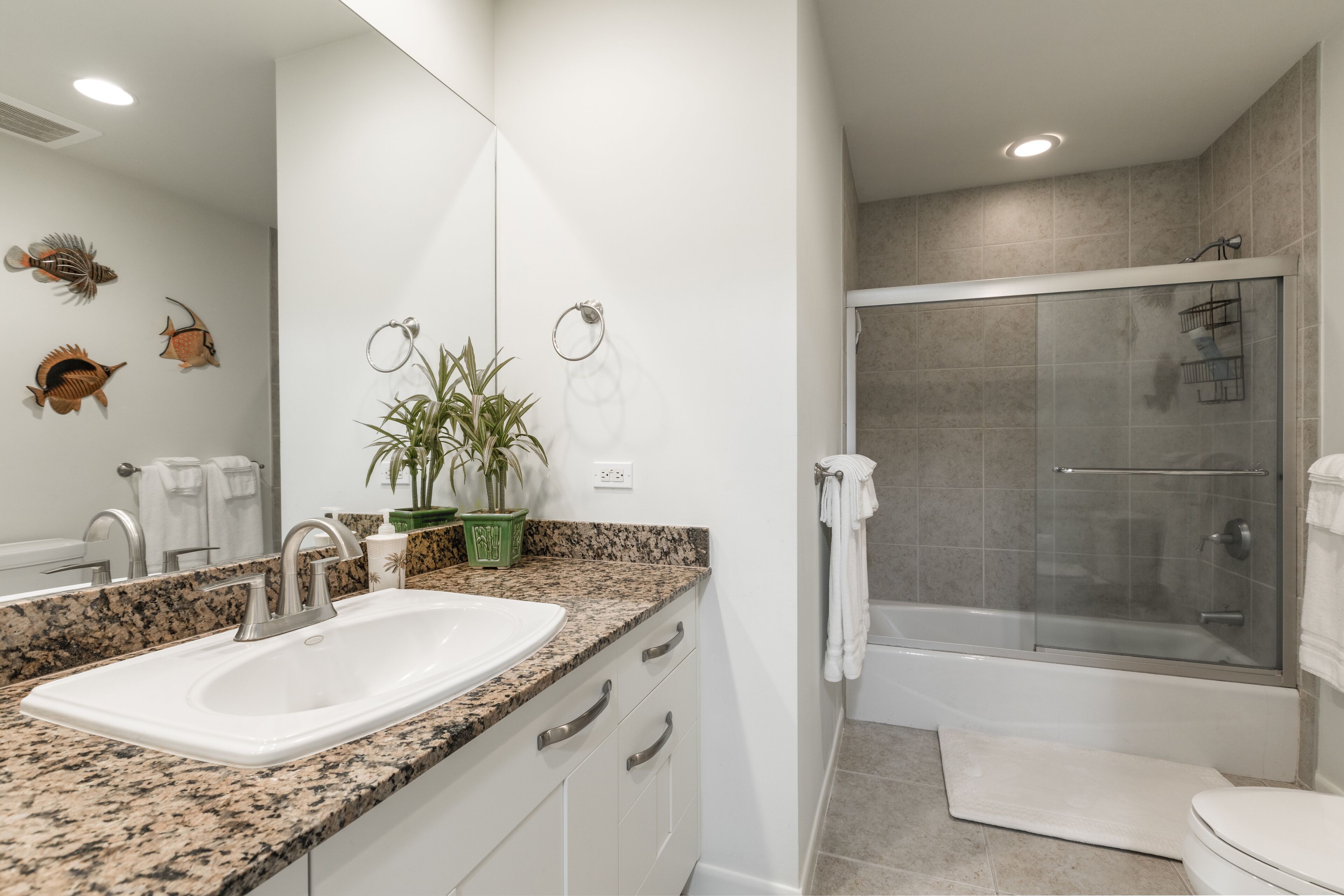 Combined shower/tub, hair dryer, towels