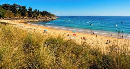 Ajonc, Bord DE MER ET Cote Sauvage