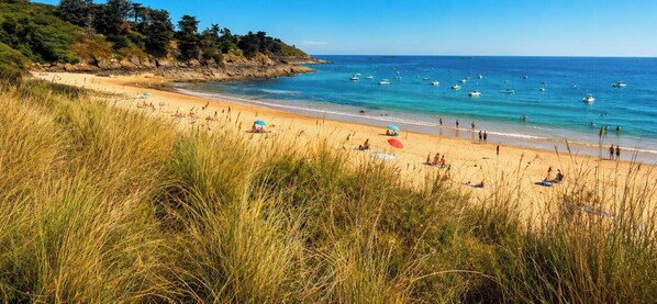Beach - Ajonc, Bord DE MER ET Cote Sauvage (Saint-Coulomb)