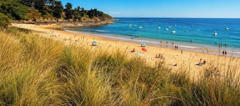 Ajonc, Bord DE MER ET Cote Sauvage