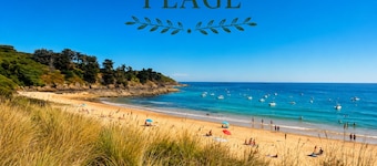 Ajonc, Bord DE MER ET Cote Sauvage