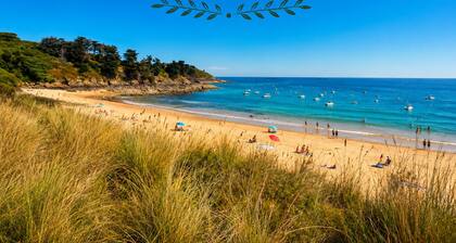 Ajonc, Bord DE MER ET Cote Sauvage