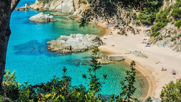 Una playa costera con aguas turquesas cristalinas, formaciones rocosas y abundante vegetación.