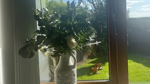 A white vase with a plant on a windowsill.