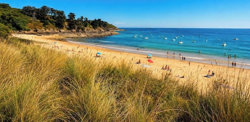 TAMARIS, SEASIDE AND WILD COAST