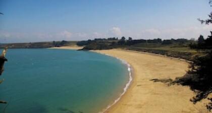 TAMARIS, SEASIDE AND WILD COAST