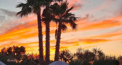 Trullo Meraviglia Dell'itria - M...