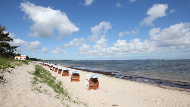 Une plage bordée de rangées de chaises longues, avec un bâtiment en arrière-plan.